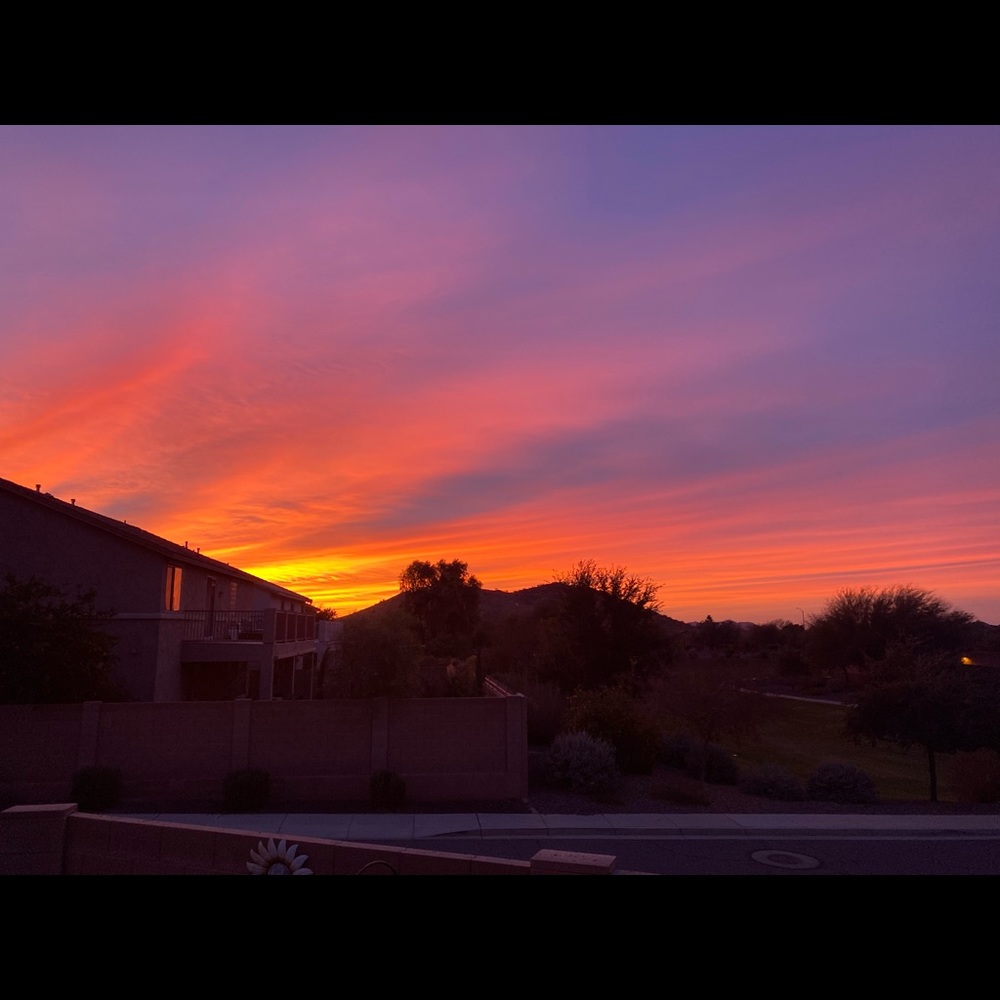 Meet your Posher, Dannie